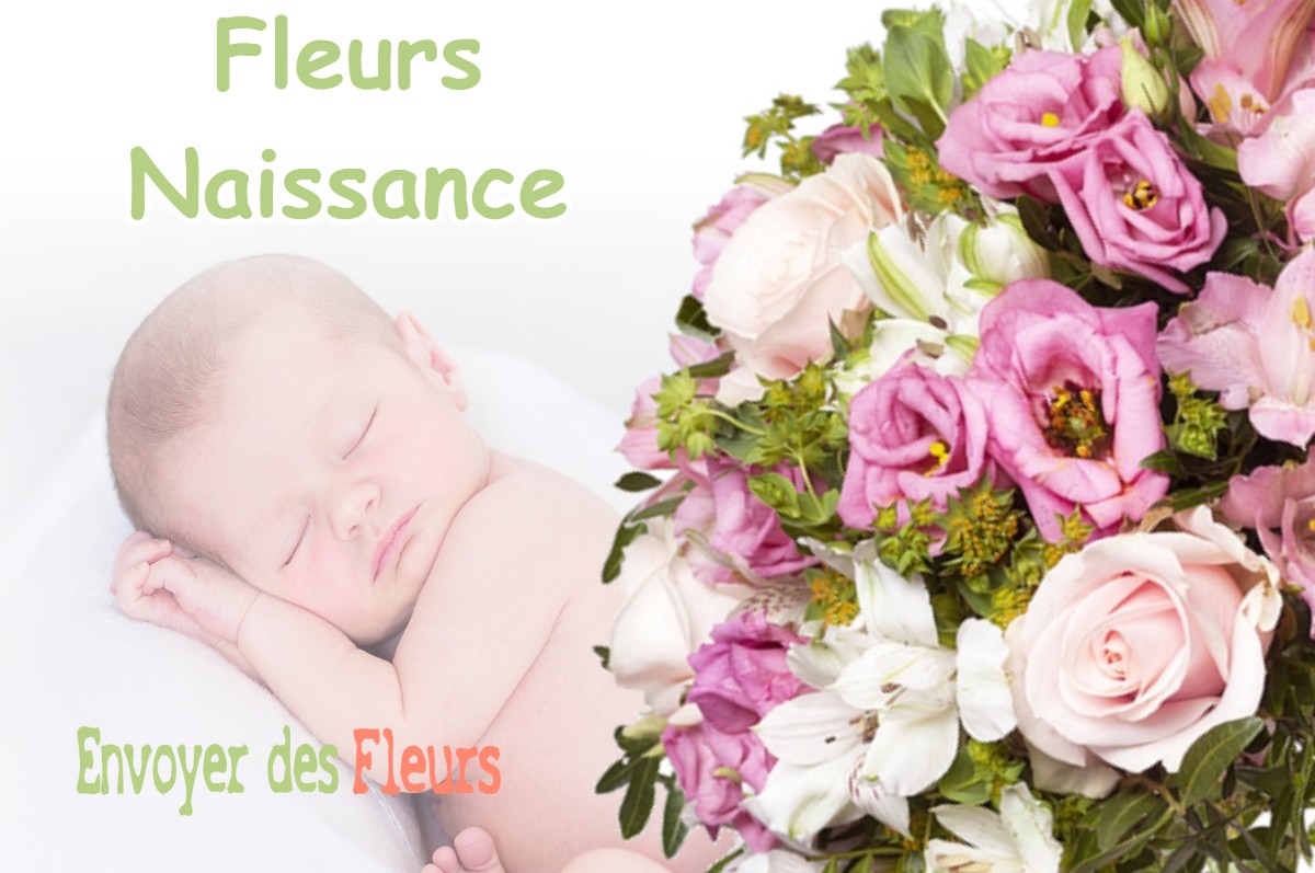 lIVRAISON FLEURS NAISSANCE à MONTGEARD